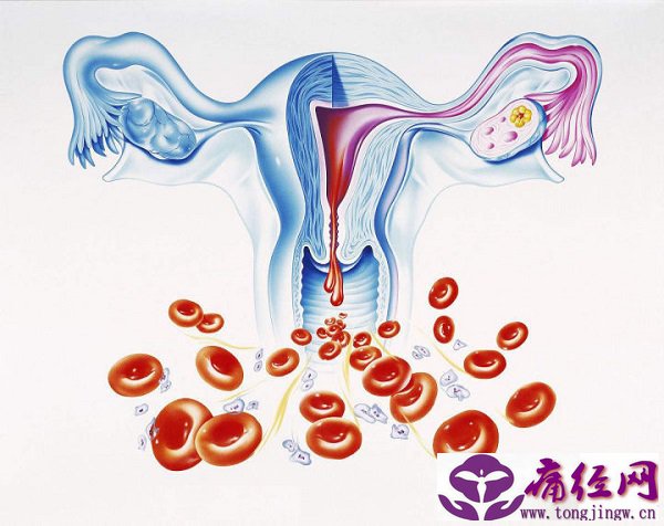 子宫内膜的知识 你知道多少？