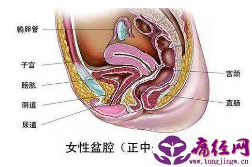 盆腔炎是什么原因造成的