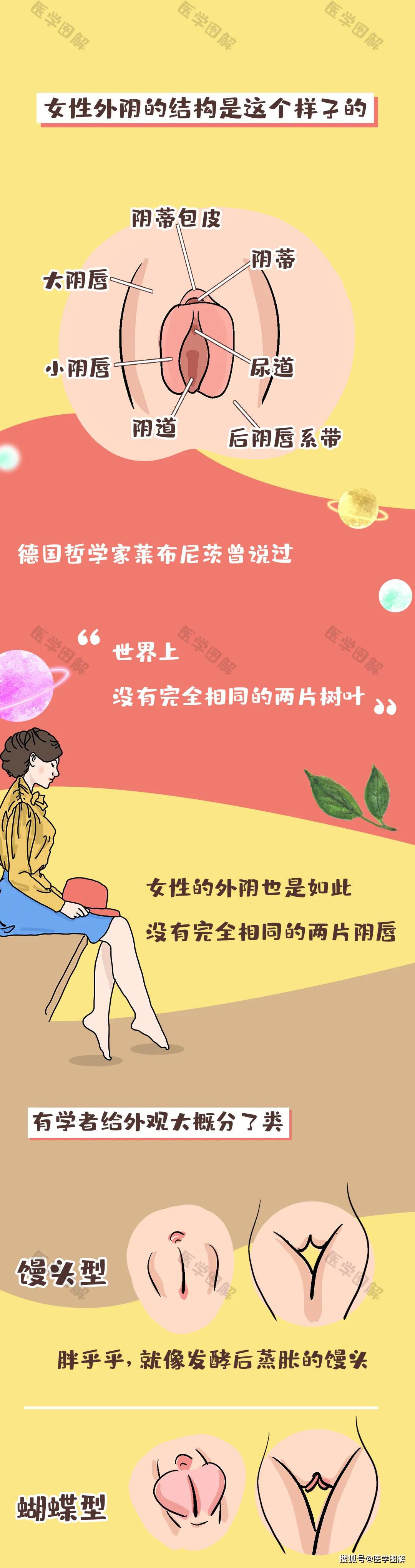 阴部特写:原来女性私处还有这么多型