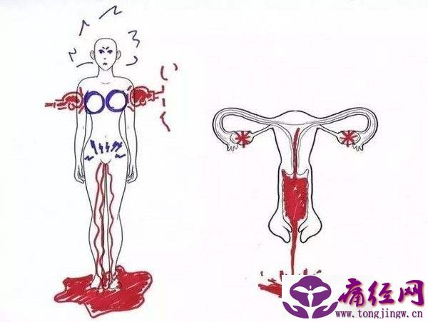 来月经了痛经腰酸背痛 来月经了痛经腰酸背痛