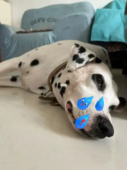 半年不来月经还头疼半年不来月经会不会死 半年不来月经还头疼半年不来月经会不会死