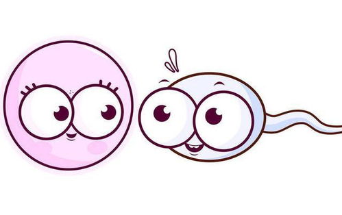 王志飞个人资料简介写真 王志飞个人资料简介写真