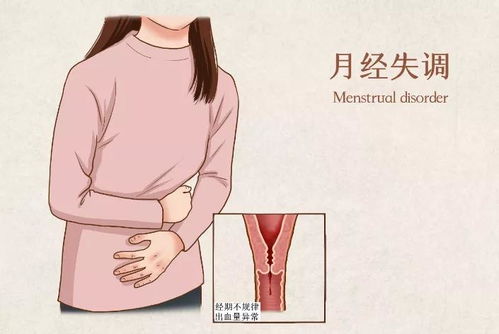 高达00剧场版粤语高达00剧场版在线播放 高达00剧场版粤语高达00剧场版在线播放