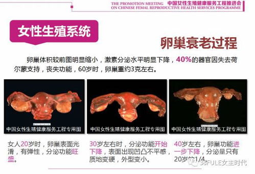 演员张凯丽演过的电视剧 演员张凯丽演过的电视剧