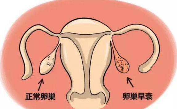 经期痛经可以吃香蕉吗 经期痛经可以吃香蕉吗