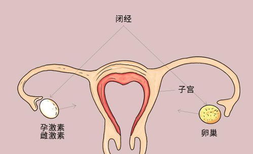 来月经前偶有阵痛_来例假前阵痛 来月经前偶有阵痛_来例假前阵痛