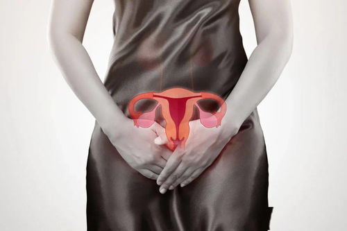 Àî¶àº£¼ÒÍ¥±³¾°½éÉÜÀî¶àº£¼ÒÊÇʲôÆóÒµ Àî¶àº£¼ÒÍ¥±³¾°½éÉÜÀî¶àº£¼ÒÊÇʲôÆóÒµ