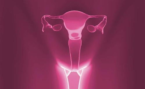 ���ڽ���ģ�͹�˾(����ģ����ƹ�˾)