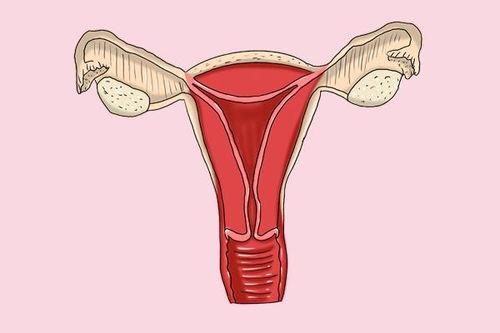 着床了来月经 着床了来月经正常吗 着床了来月经 着床了来月经正常吗