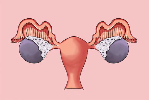 要来月经了孕酮多高正常 要来月经了孕酮多高正常