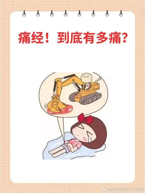 �˶�ò�˯����������