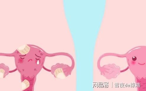 周笔畅因台风被困周笔畅台湾 周笔畅因台风被困周笔畅台湾