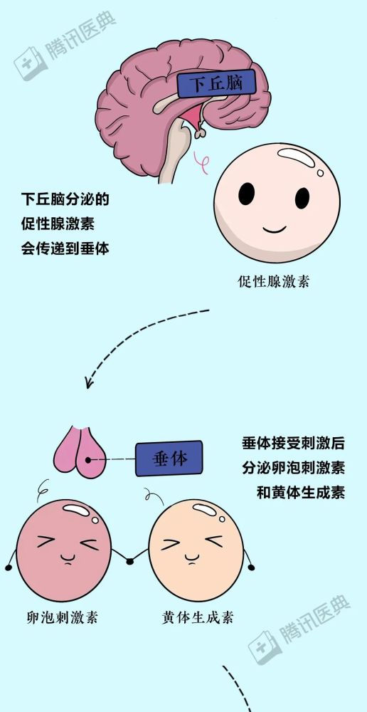 月经推迟半个月正常么 月经推迟半个月正常么