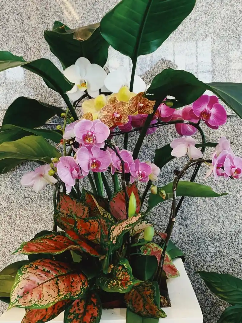 来月经的前7天同房_来月经的前7天同房会怎样 来月经的前7天同房_来月经的前7天同房会怎样