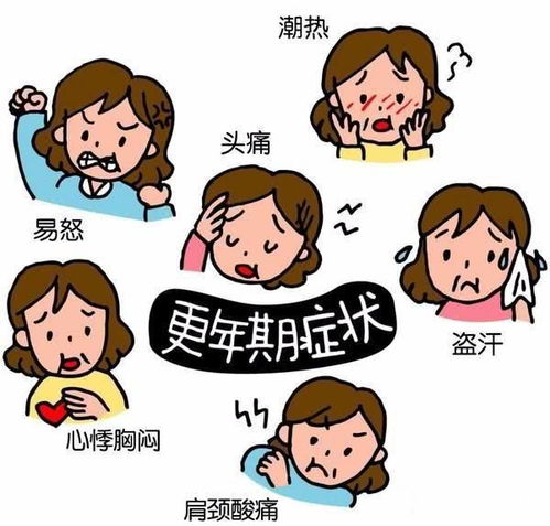 生酵素来月经可以吃吗 生酵素来月经可以吃吗