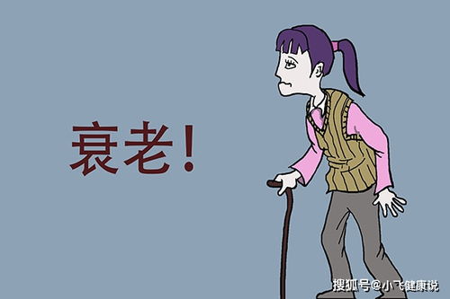 ��ʹ�������� ʹ���˸���ô�죿