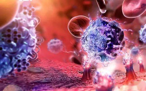 鷿ʹӦٰ 鷿ʹ5Ӧ˽⣡