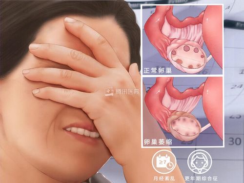 翰林院教育翰林院辅导机构怎么样 翰林院教育翰林院辅导机构怎么样