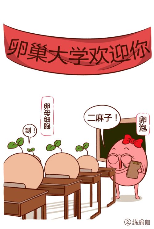 海南租房 海南租房网房东直租 海南租房 海南租房网房东直租