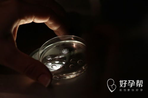 ���ӹ��Թ�����ӹ��Թ�������߹ۿ�