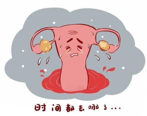 ¾ӳٺȺ ¾ӳٺȺ轺