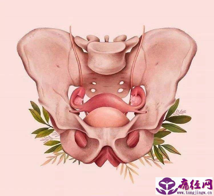 月经来了就不走吃什么药 月经来了就不走吃什么药