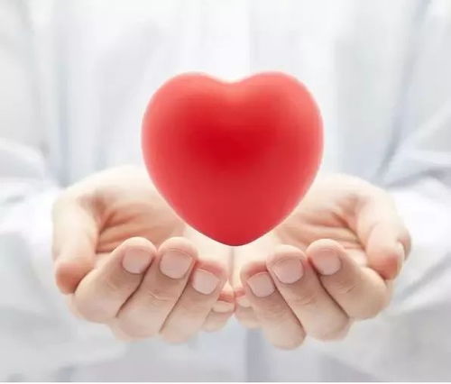 来月经吃木耳好吗_月经来吃木耳对身体有影响嘛 来月经吃木耳好吗_月经来吃木耳对身体有影响嘛