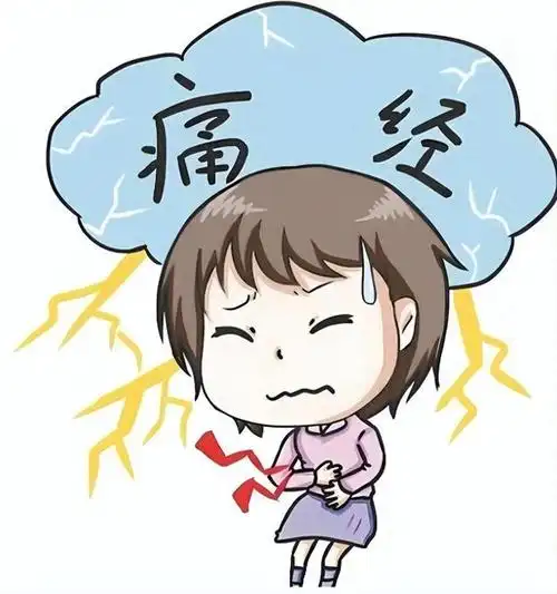 阳月经来很多次 月经来了很多次 阳月经来很多次 月经来了很多次