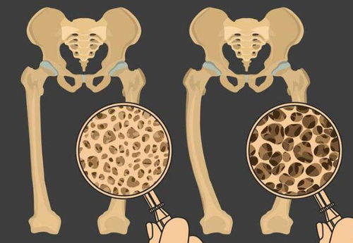 È鷿ʪÕîÄÜιÄÌÂð È鷿ʪÕîÄÜιÄÌÂð