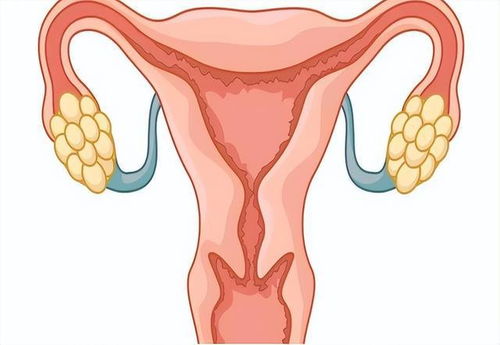 来月经可以喝胶原蛋白粉吗 来月经可以喝胶原蛋白粉吗