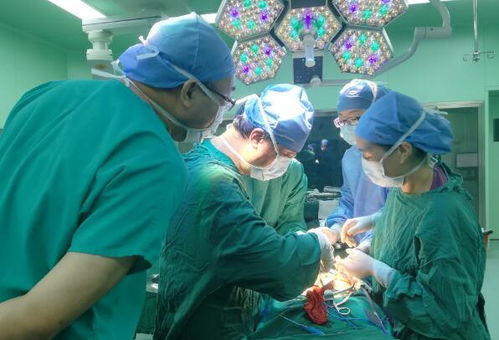 刘涛演的电视剧都有哪些好看 刘涛演的电视剧都有哪些好看