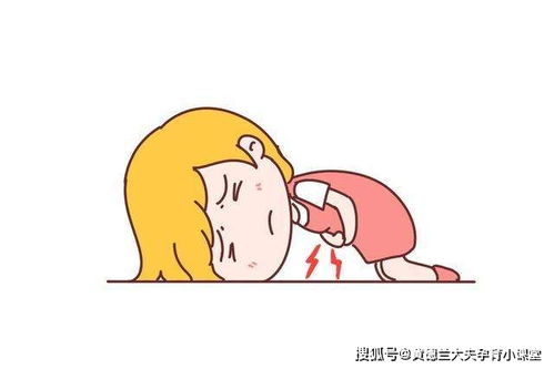 ȡάDԤ鰩