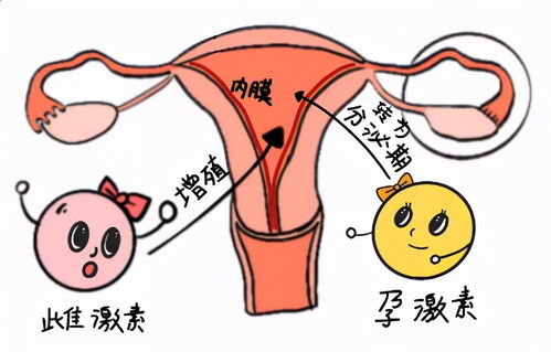 �Ƽ�����Ԥ�������������׳�����ʩ