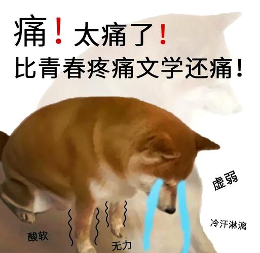 汪小菲个人资料简介大全 汪小菲个人资料简介大全