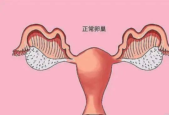 有 个小葵花治痛经的药 有 个小葵花治痛经的药