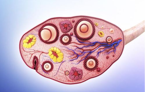 月经为何乱糟糟?细数四大原因! 月经为何乱糟糟?细数四大原因!