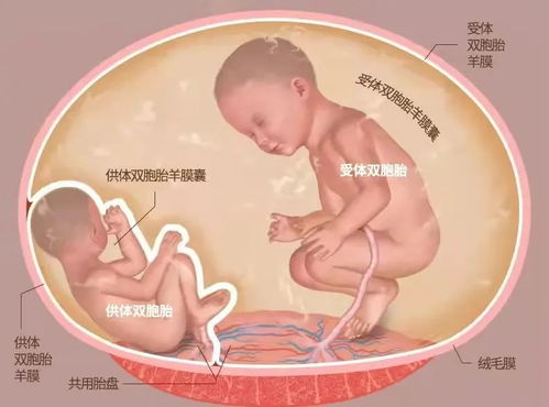 痛经能引起催乳素高吗 痛经能引起催乳素高吗