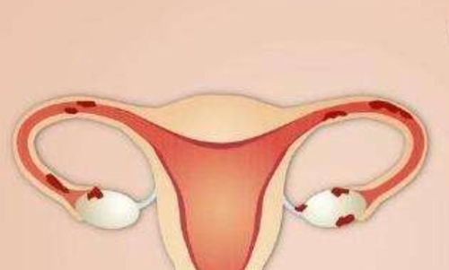 背后有真相 疼痛不止是疼痛 背后有真相 疼痛不止是疼痛