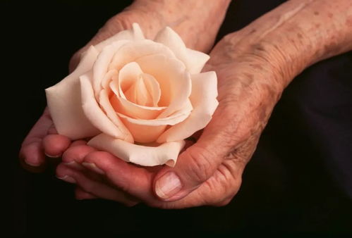 月经停了4天同房出血 月经停了4天同房出血