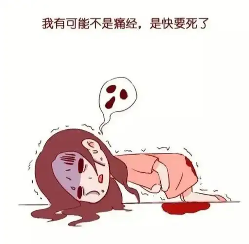 月经来时鸡肉炖汤好吗 月经来时鸡肉炖汤好吗