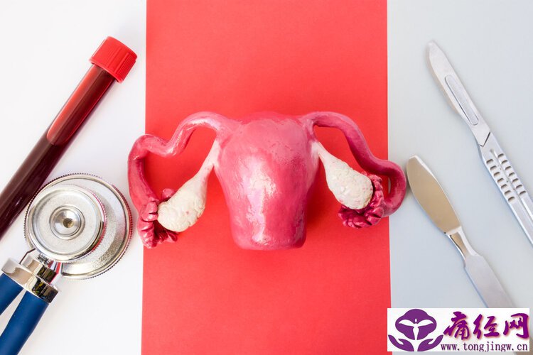 女人痛经能吃桑果吗(女人经期吃桑葚的禁忌) 女人痛经能吃桑果吗(女人经期吃桑葚的禁忌)