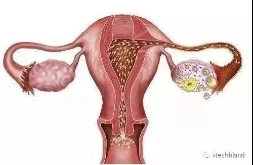 ¾Լֹҩ¾ֹʹҩԳԼ