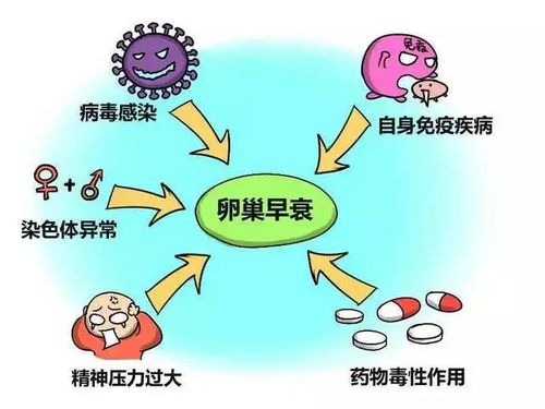 宝宝会痛经吗(婴儿会有痛感吗) 宝宝会痛经吗(婴儿会有痛感吗)