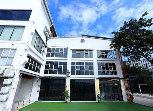 生地会引起痛经 生地吃了会胃疼吗 生地会引起痛经 生地吃了会胃疼吗