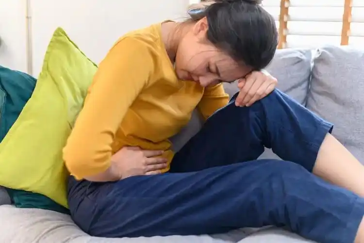 ������ϵ���������ɱ�