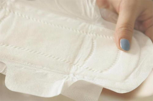 雌性仓鼠多大来月经正常 雌性仓鼠多大来月经正常