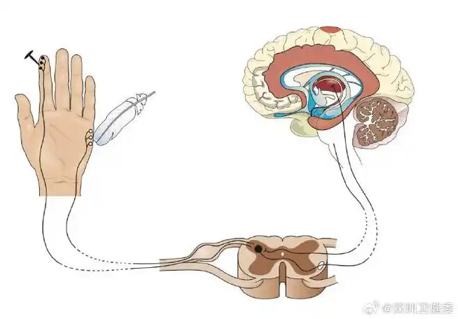 ¾ڼʹ ¾ڼʹӦúЩʲô