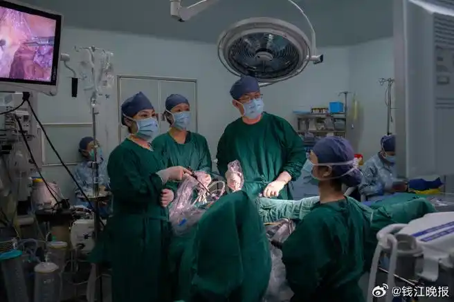 ���������ڶ��� ���������ڶ������߹ۿ�