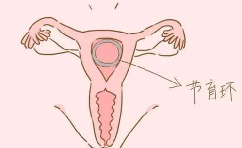 广东AI赋能基层医疗 2146家基层机构享智能诊疗服务 广东AI赋能基层医疗 2146家基层机构享智能诊疗服务