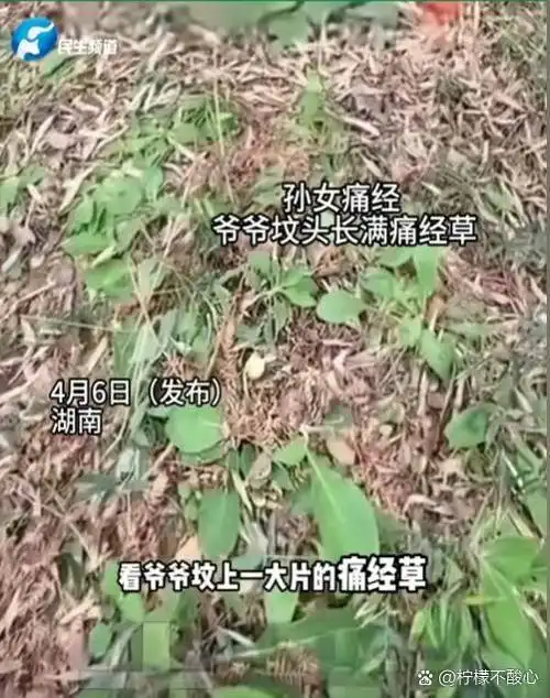 月经后有综合症吗(月经后会得阴道炎吗) 月经后有综合症吗(月经后会得阴道炎吗)